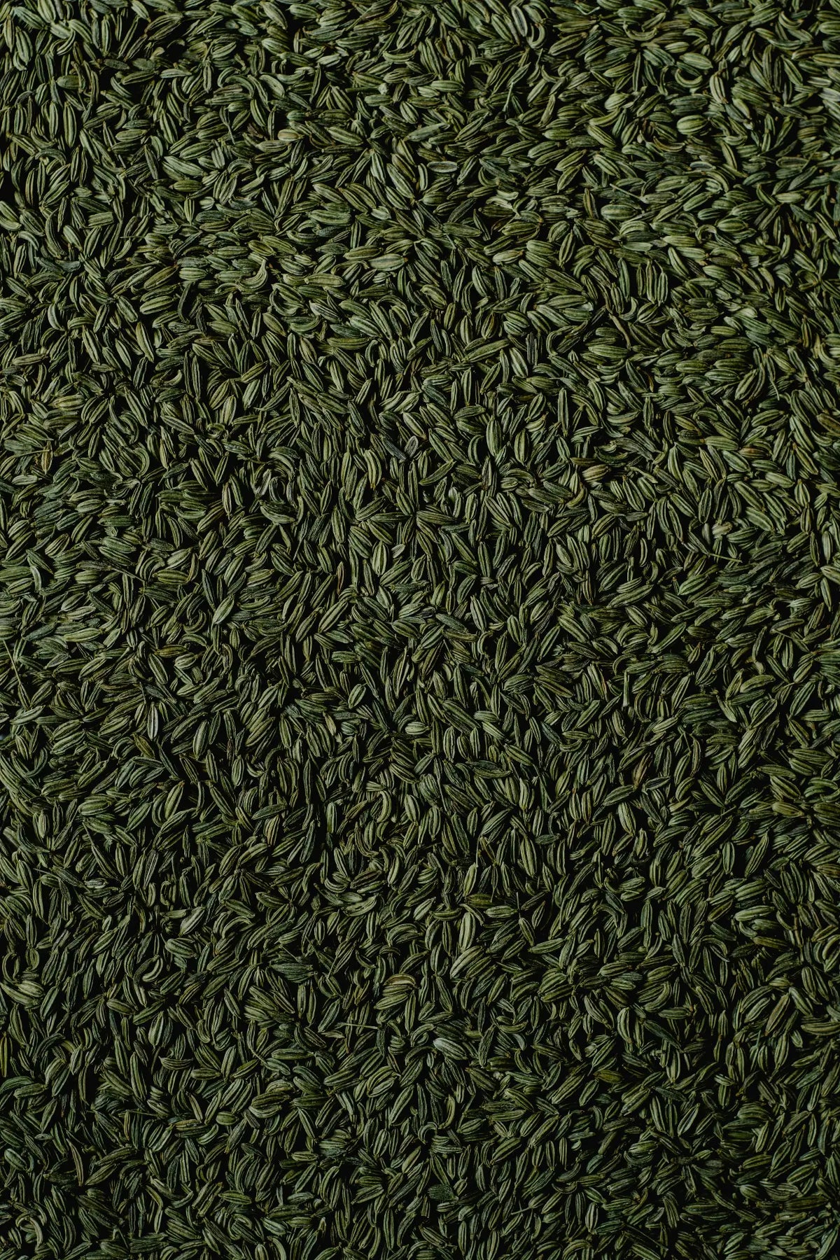 organic fennel seeds