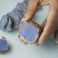 freshly sliced turmeric with a blueish-purple hue