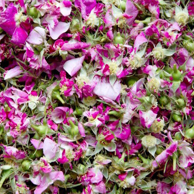 Magliano Rose Petal Jam Preserve, Certified Organic