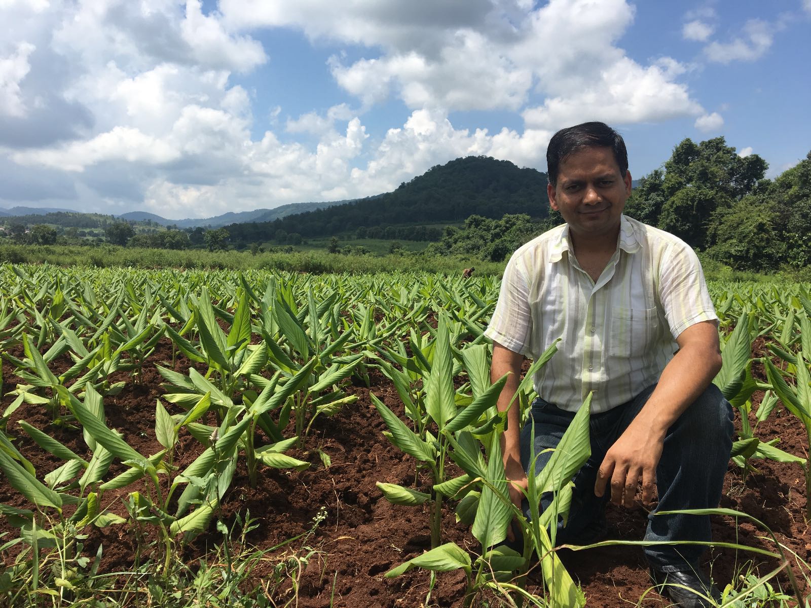 Sandeep in a field of organic turmeric in India.