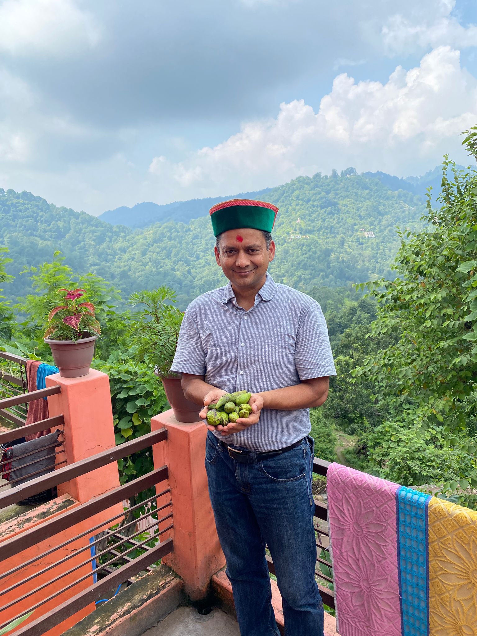 Sandeep standing on a balcony in India with a stunning forested mountain view behind him, holding freshly picked Myrobalan fruit in his hands.