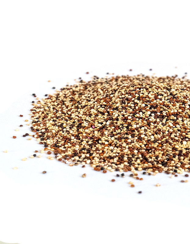 Tri-Colored Quinoa, Certified Organic - 1 lb.