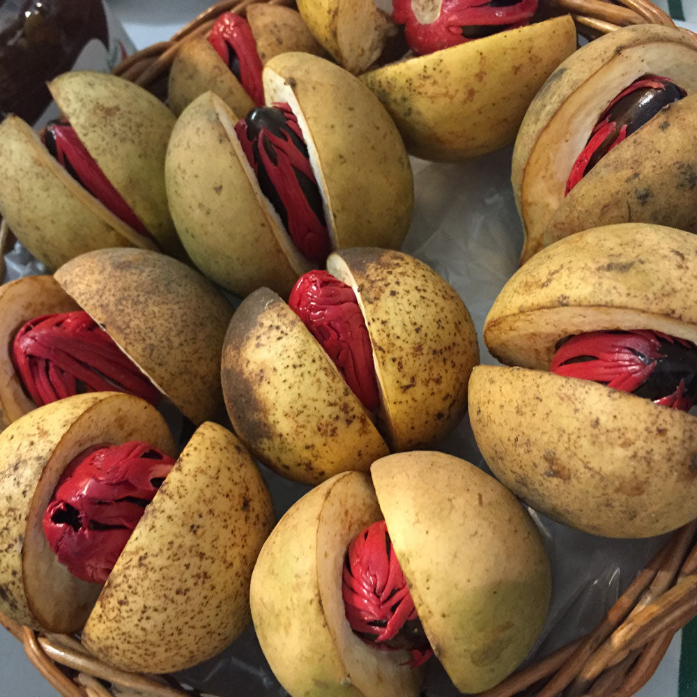 a small basketful of freshly harvested organic mace