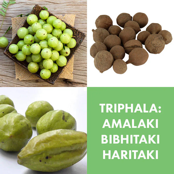 the three fruits of triphala