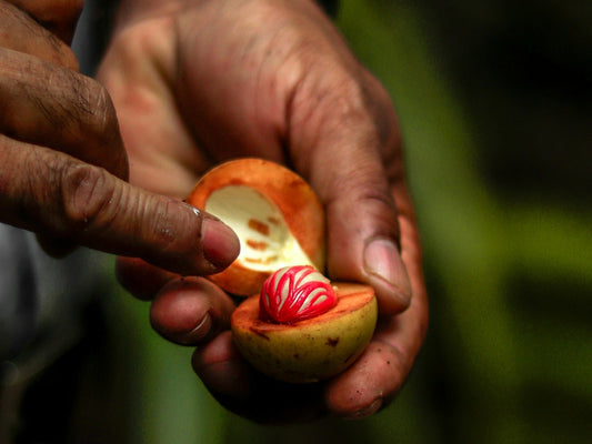 ayurvedic uses of nutmeg