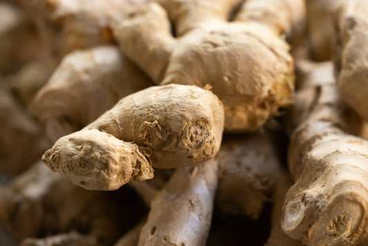 Ginger in Culinary and Ayurvedic Traditions