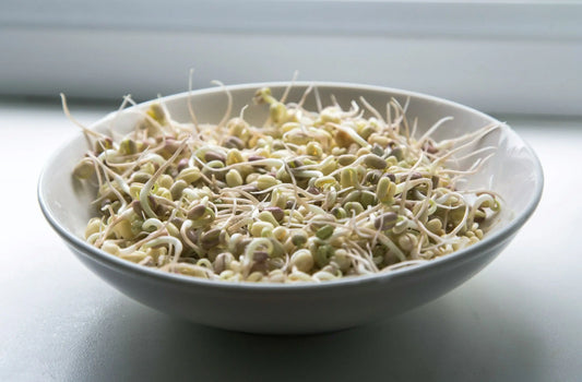 a bowl of sprouted legumes