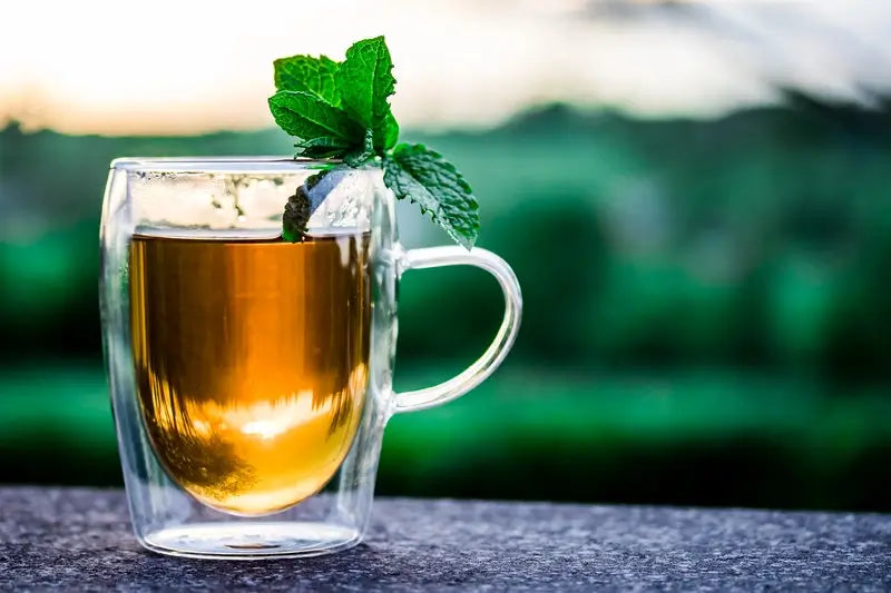 A clear mug of tamarind tea with a sprig of mint in it