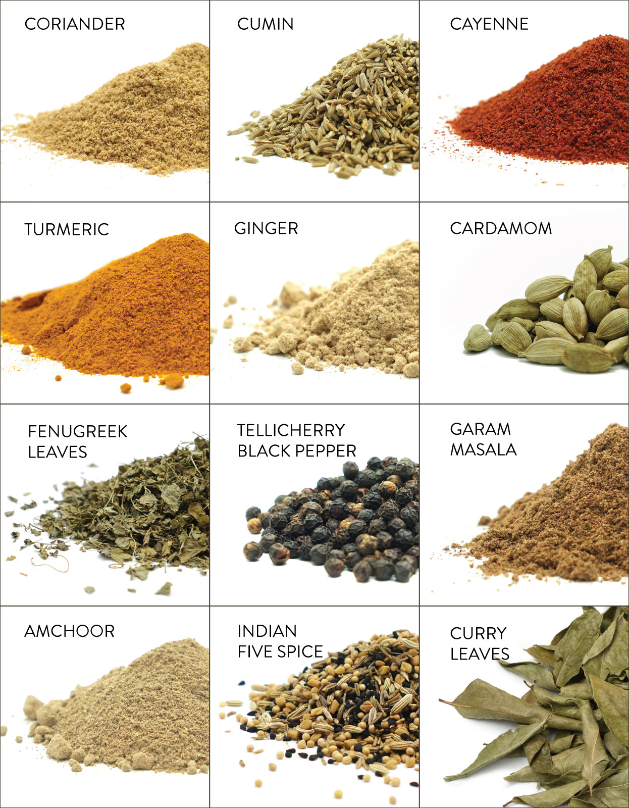 Photo of all the organic spices included in our Indian spice set. Includes coriander, cumin, cayenne, Turmeric, ginger, cardamom, Fenugreek leaves, Tellicherry Black Pepper, Garam masala, Amchoor, Indian Five spice, Curry leaves.