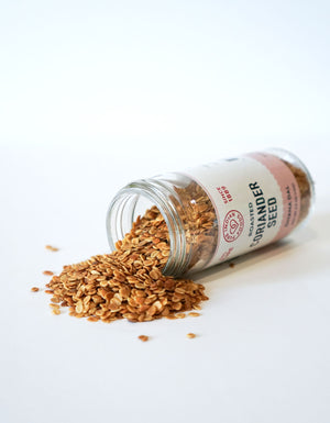 AfterMeal™ Roasted Coriander Seeds (Dhana Dal)