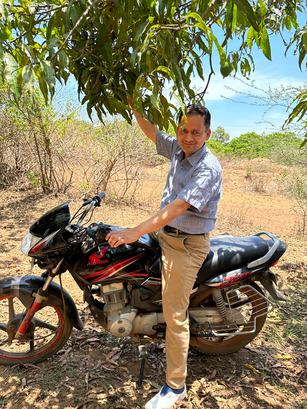 Sandeep on his motorcycle under an alphonso mango tree