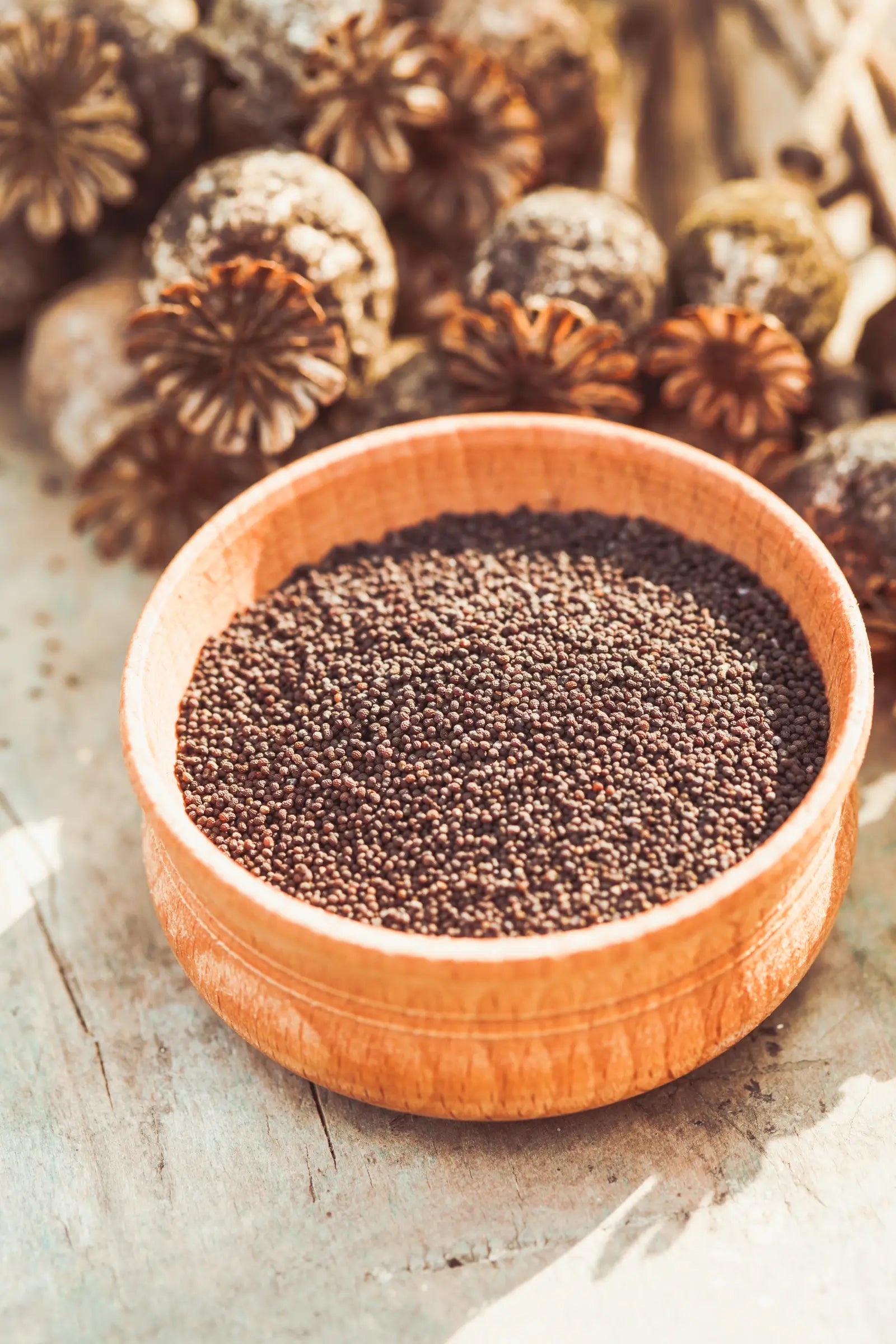 Poppy seeds