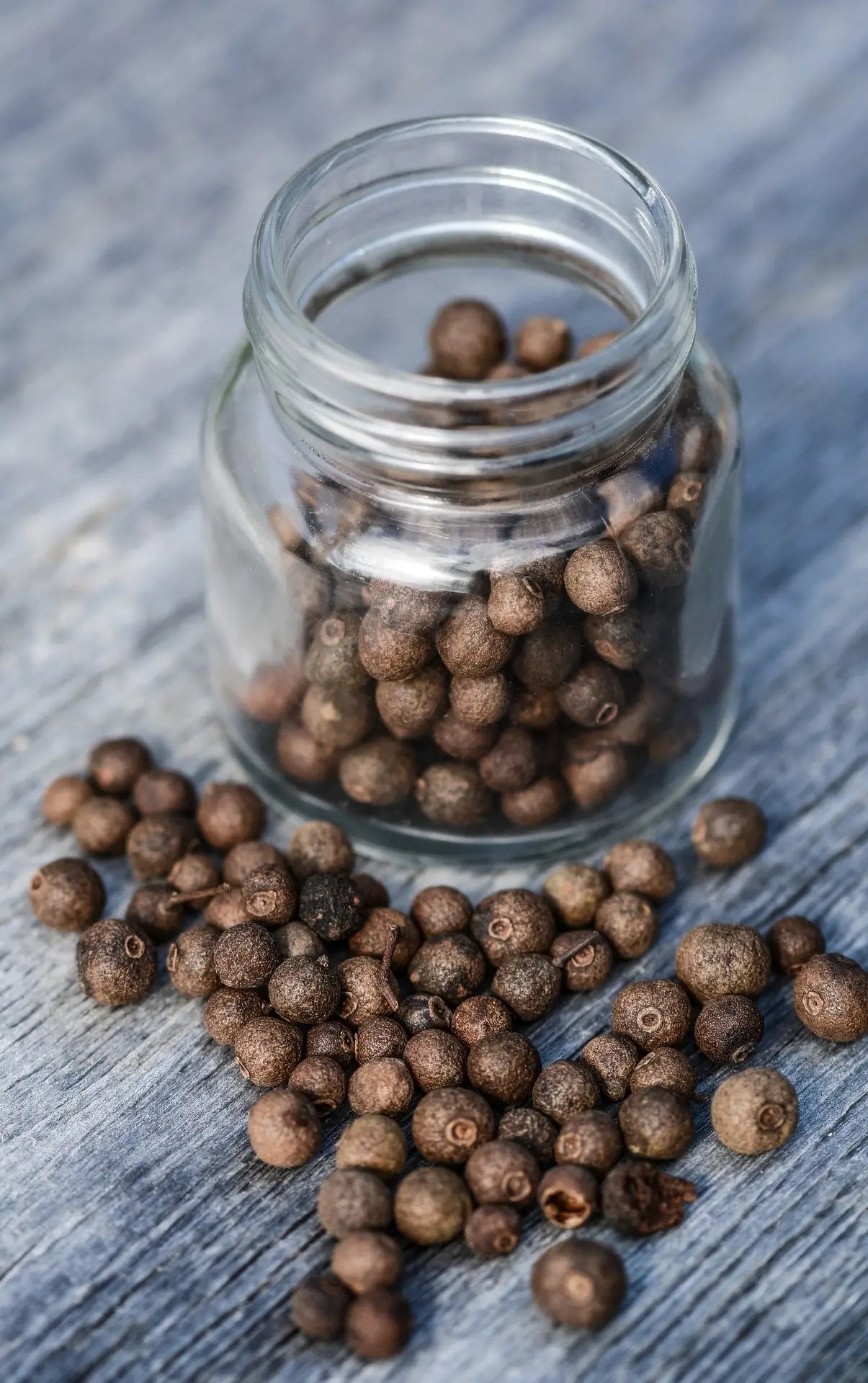 allspice seeds for planting Allspice Whole, Certified Organic