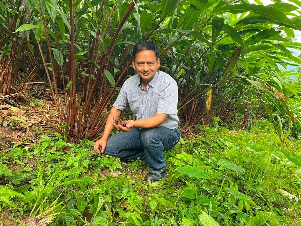 Sandeep holding freshly harvested cardamom on a recent trip to India