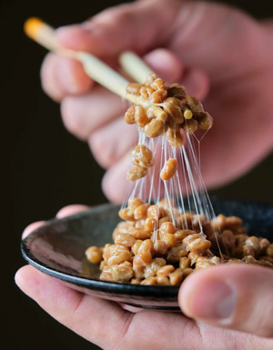 Rehydradated freeze-dried natto has the same consistency as fresh natto!