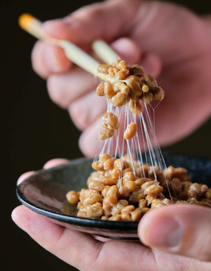 Rehydradated freeze-dried natto beans have the same consistency as fresh natto!