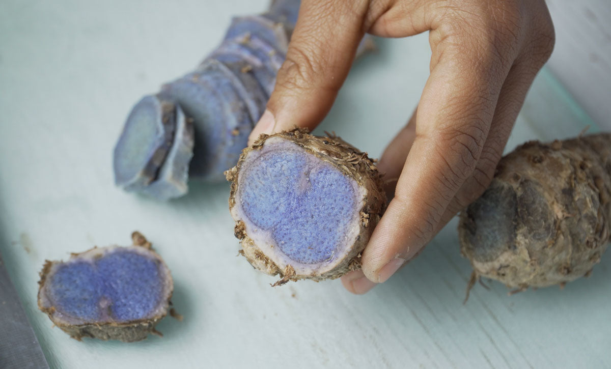 freshly sliced turmeric with a blueish-purple hue