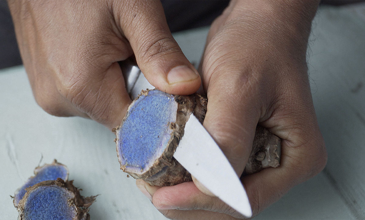 closeup of hands hands slicing fresh organic black turmeric