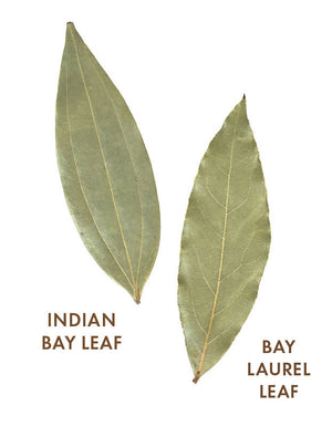 Indian Bay Leaf (Cassia/Tejapatta), Certified Organic