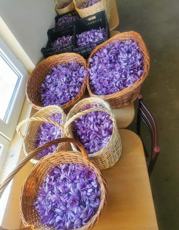 Baskets of freshly harvested Organic Kashmiri Saffron from Sandeep's most recent trip to India for Pure Indian Foods.