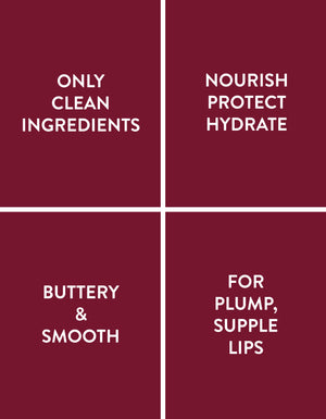 GHEEK™ Ghee Lip Balm, Certified Organic