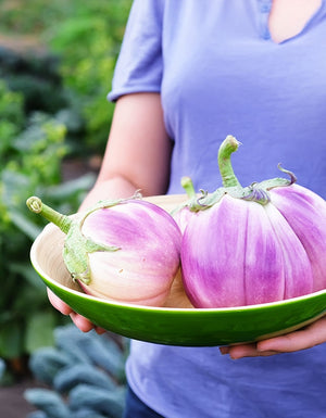 Organic Rosa Bianca Eggplant Seeds