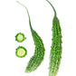 Bitter Gourd (Bitter Melon/Karela) Heirloom Seeds for Planting