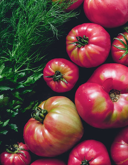 Organic Brandywine Pink Tomato Seeds