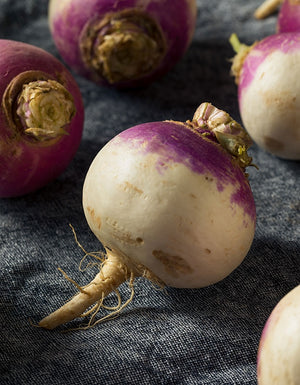 Organic Purple Top Turnip Seeds