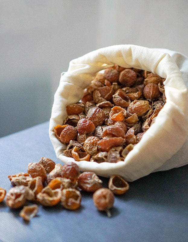 Soap Nuts, Certified Organic - 2.2 lbs (1 kg)