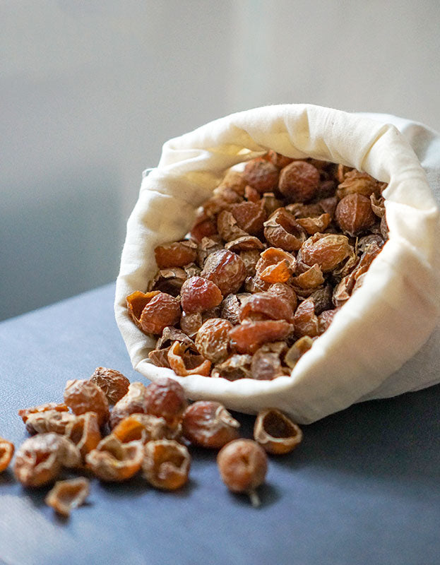 Bag of deseeded organic soap nuts from Pure Indian Foods, ready for use in laundry and home made cleaners, hair wash, etc.