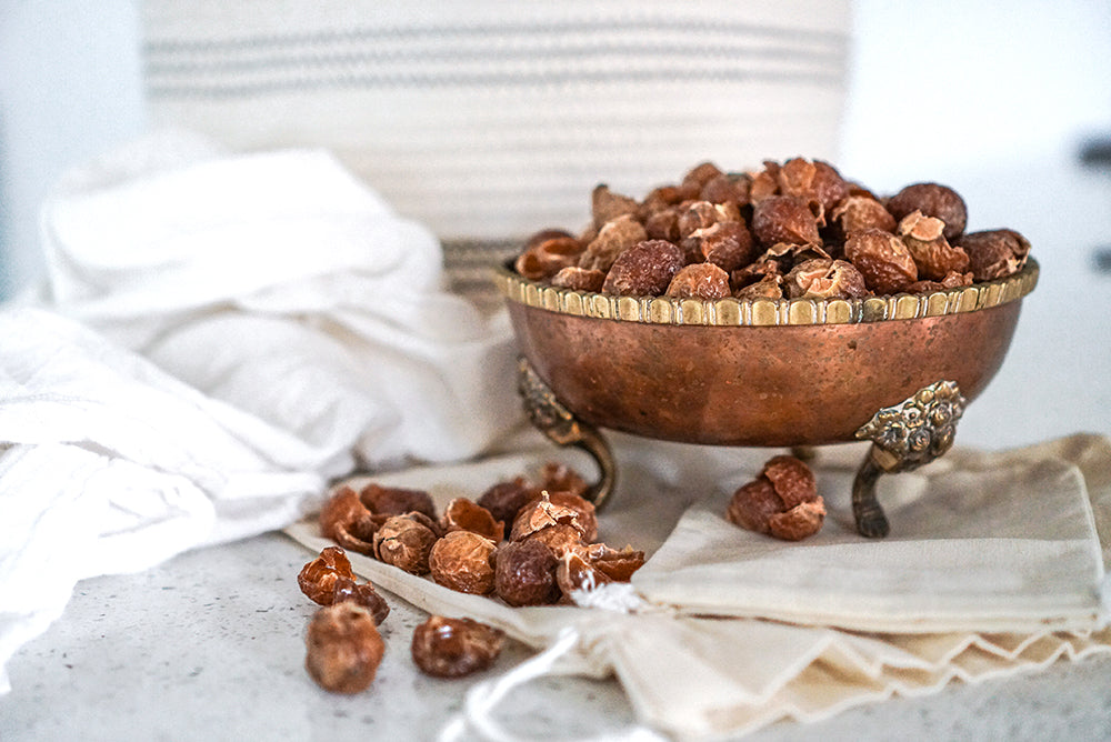 Bowl of organic soapberries, deseeded, and ready for use in laundry and home made cleaners.