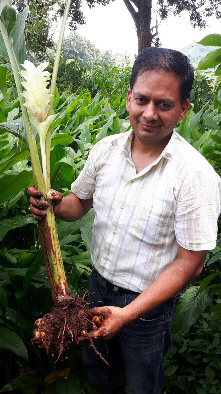 Sandeep with a freshly harvested organic turmeric root in India.