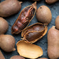 Organic tamarind pods, two of which are broken open to reveal the fruit inside.