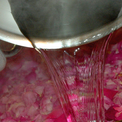 Making Gulkand by hand, the traditional way, in a large steel pot. Only roses, lemon juice, and evaporated cane juice with no pectin added.