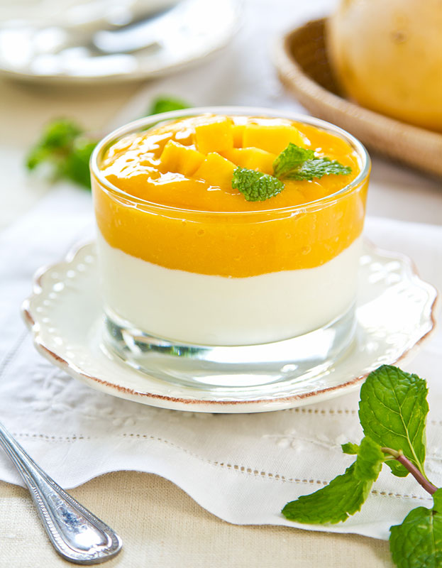 Indian Style Yogurt (Dahi) Culture YOMIX 900 LYO 50 DCU Pure