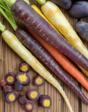 Carrots Rainbow Blend Seeds